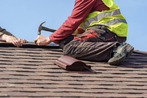 Best Local Roofing Companies  in Brownlee Park, MI