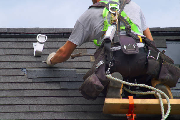 Best Shingle Roofing Installation  in Brownlee Park, MI