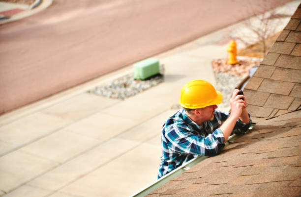 Best Local Roofing Companies  in Brownlee Park, MI