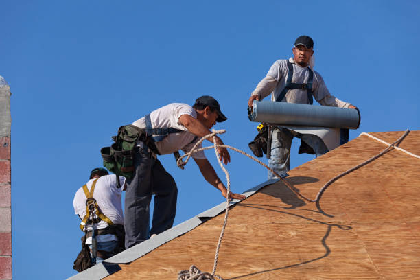 Best Heating Cable for Roof Installation  in Brownlee Park, MI