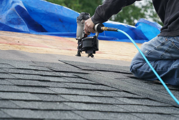 Best Commercial Roofing Services  in Brownlee Park, MI