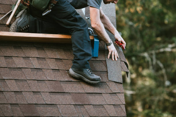Best New Roof Installation  in Brownlee Park, MI