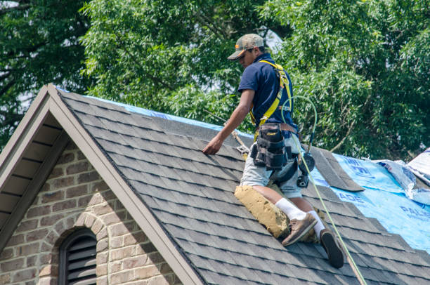 Sealant for Roof in Brownlee Park, MI